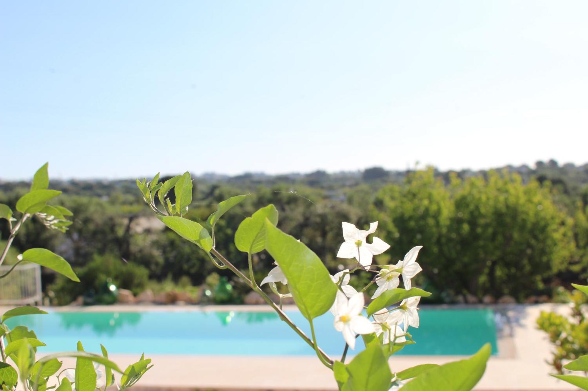 Trullo Il Melograno Guest House Ostuni Exterior foto
