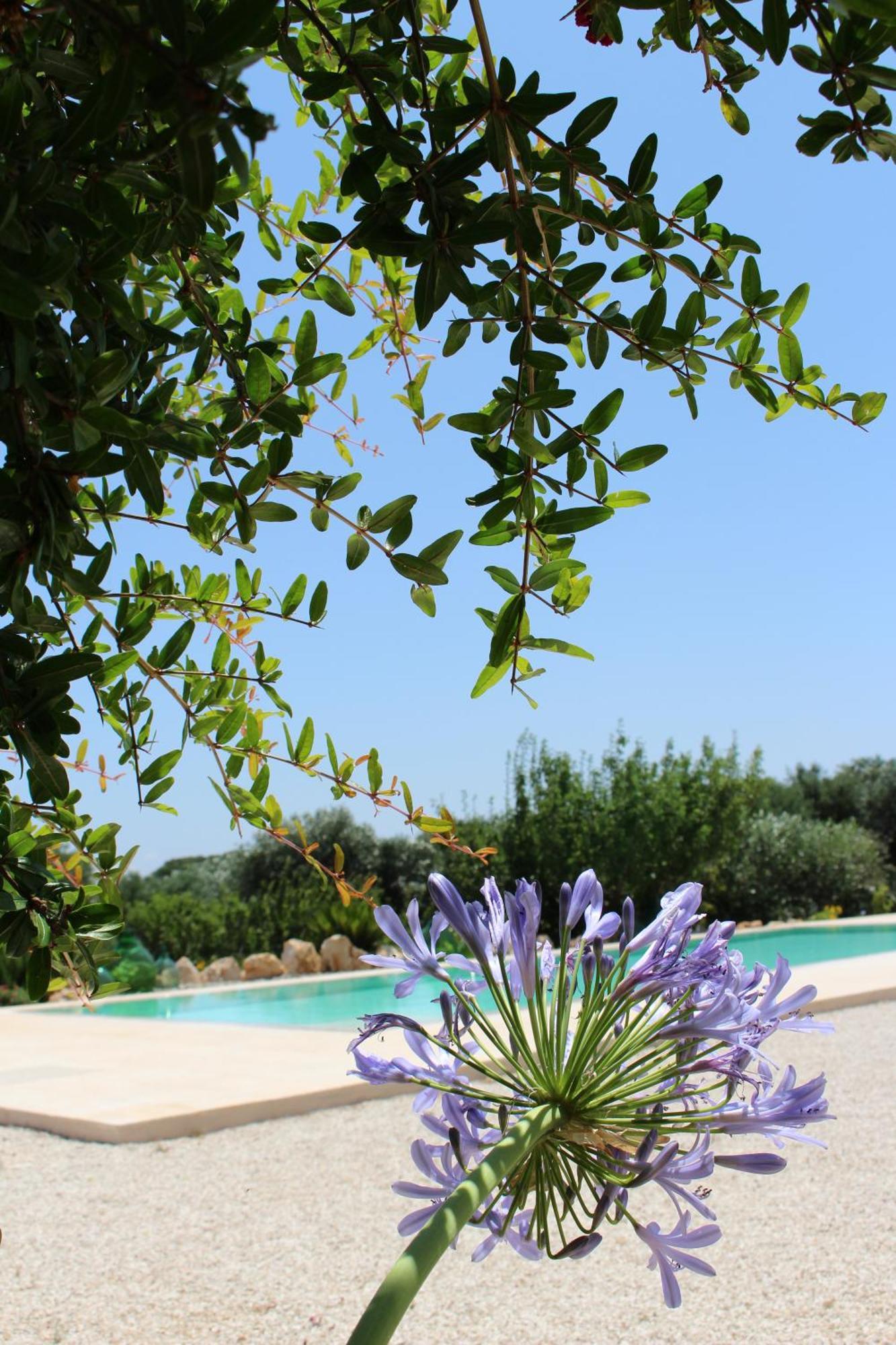 Trullo Il Melograno Guest House Ostuni Exterior foto